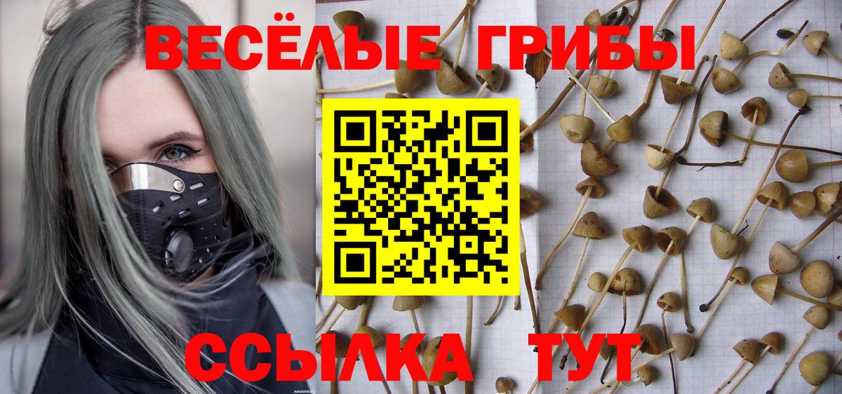 Псилоцибиновые грибы Magic Shrooms  Вход с VPN  Псилоцибиновые грибы мицелий  Советский 